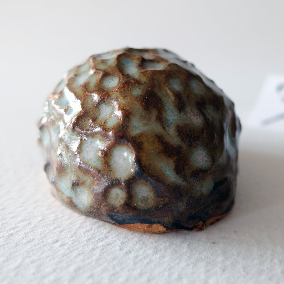 The Long-Nosed Knobby Hedgehog (#32) – Handcrafted Ceramic Figurine