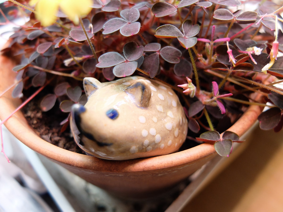 The Polka Dotted Hedgehog (#25) – Handcrafted Ceramic Figurine
